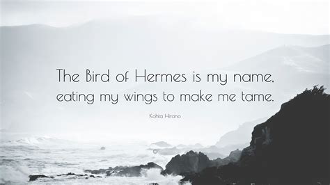 the bird of hermes is my name poem|i am the bird of hermes eating my own wings.